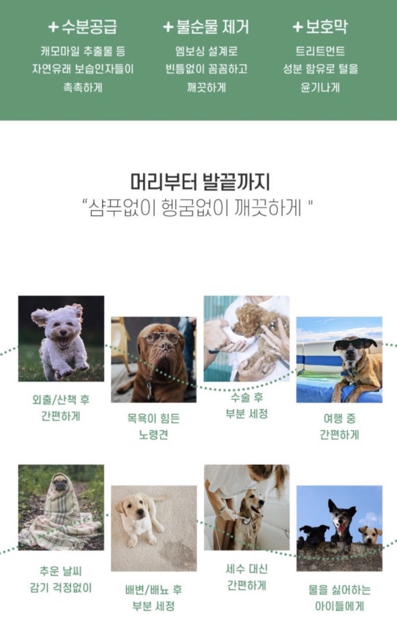 베이직바디 이미지