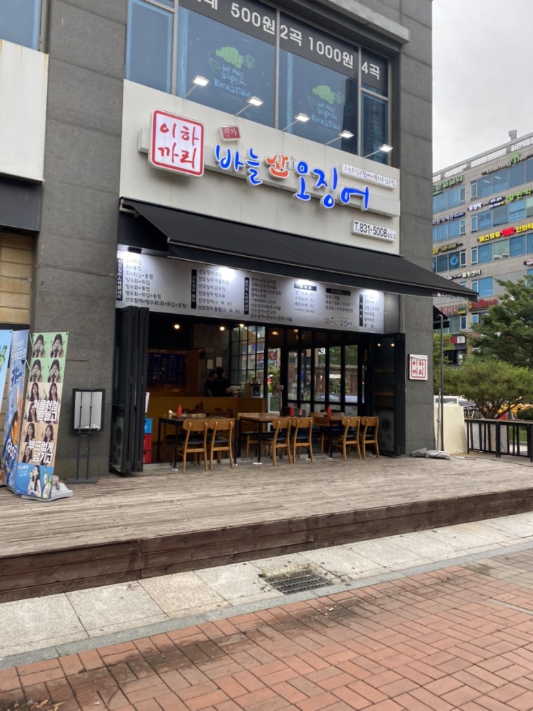 신가바늘산오징어 이미지