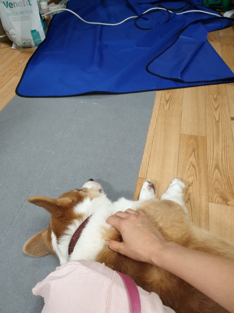 현란한드릴 이미지