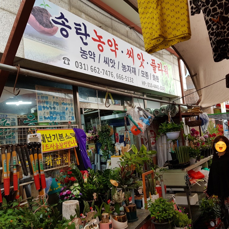 송탄농약플라워 이미지