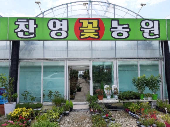 찬영꽃농원 이미지