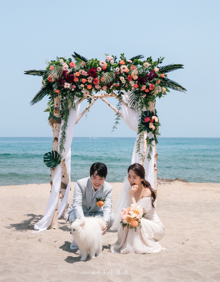 라잇플라워 이미지