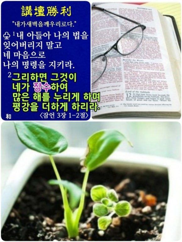 (주)샬롬환경 이미지