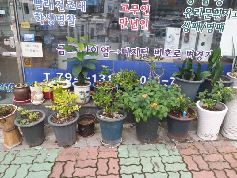 파크열쇠도장 이미지