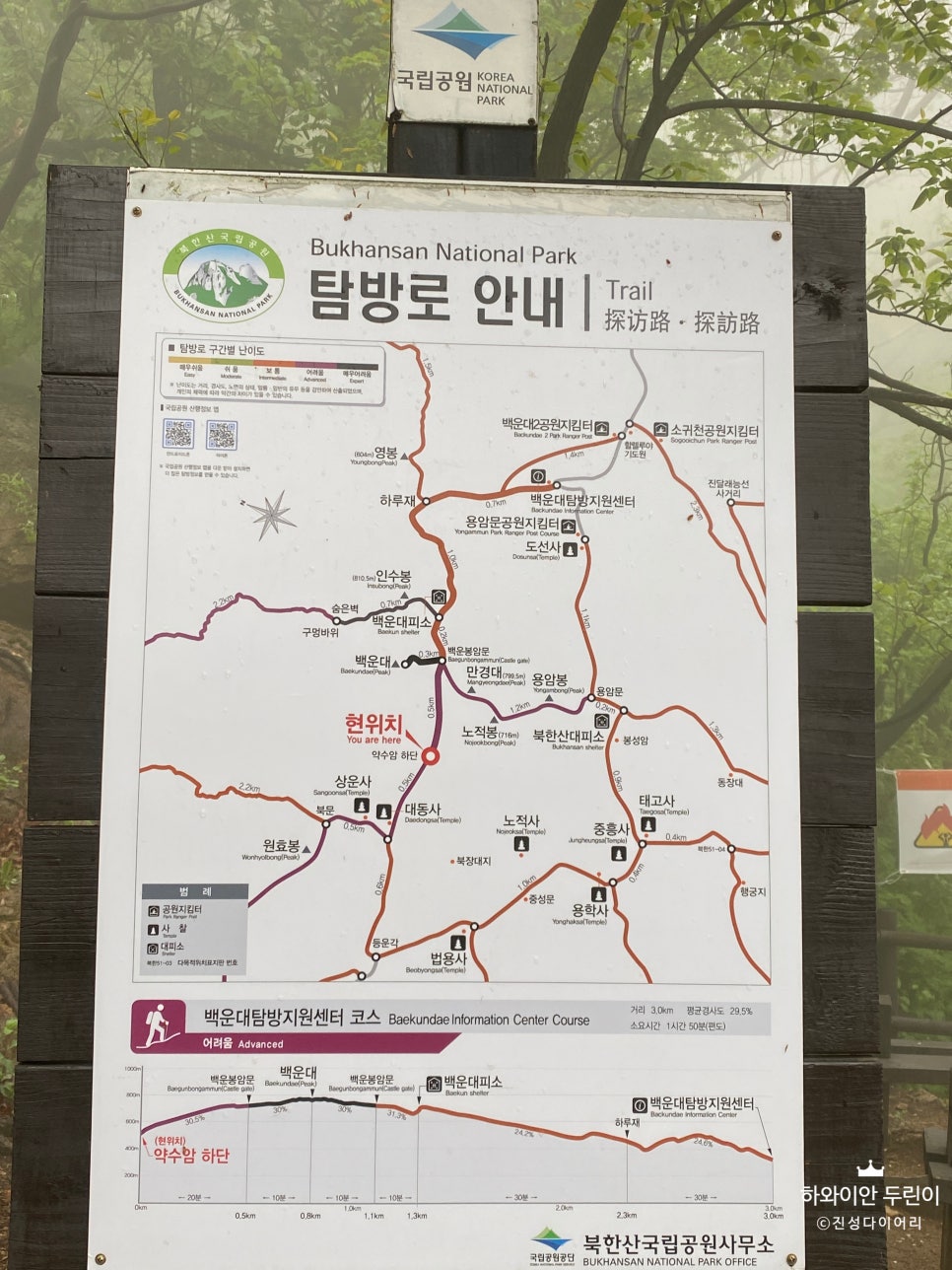 대동사 이미지