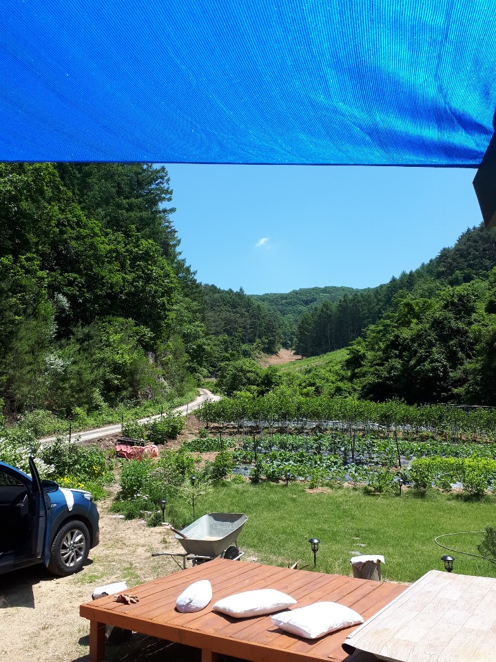 사계절세차장 이미지