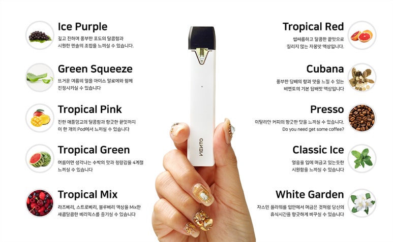 비엔토 이미지