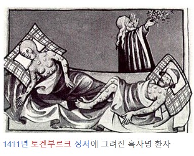 디바이러스 이미지