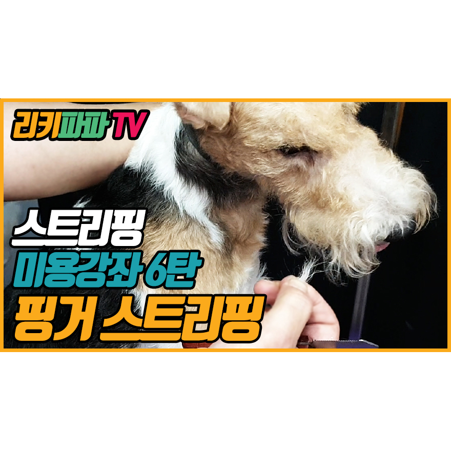 핑거(FINGER) 6 이미지