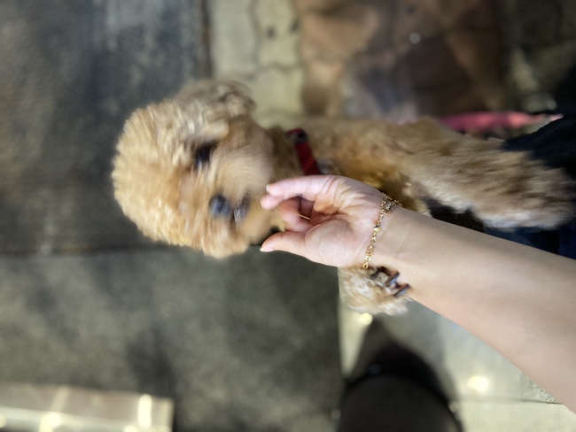 공차광주용봉점 이미지