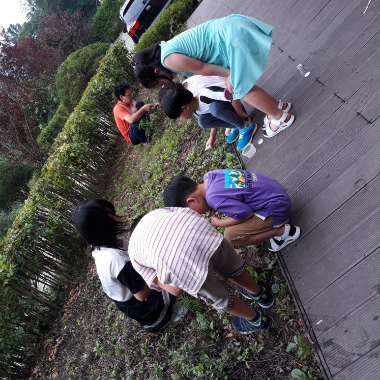 산뜰애추평호산뜰애마을 이미지