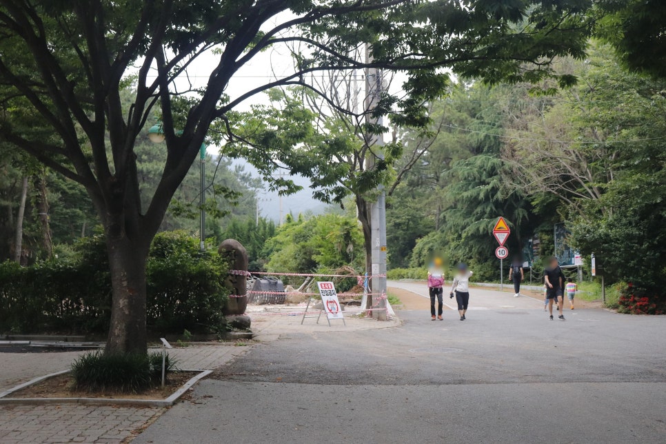 장산꽃농원 이미지