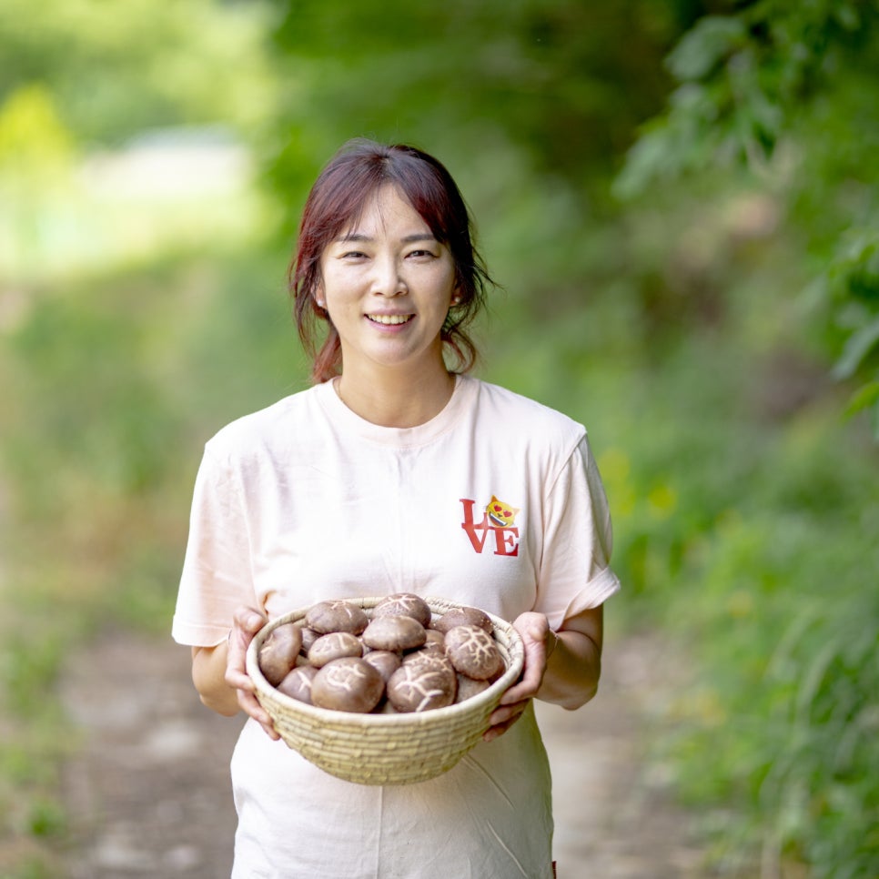 예당버섯 이미지