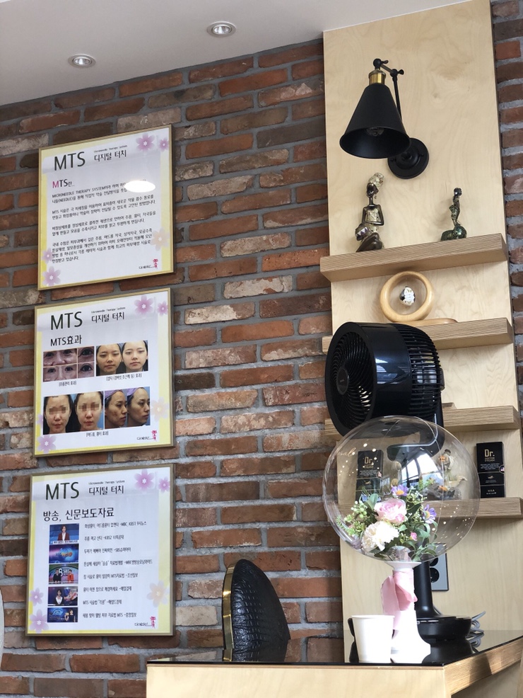 다예라인 이미지