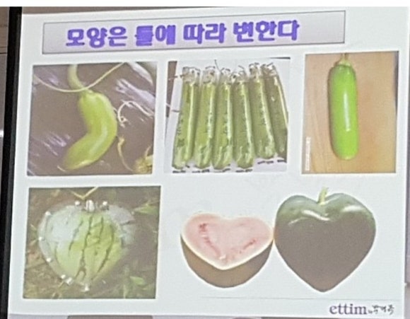 더에띠임 이미지