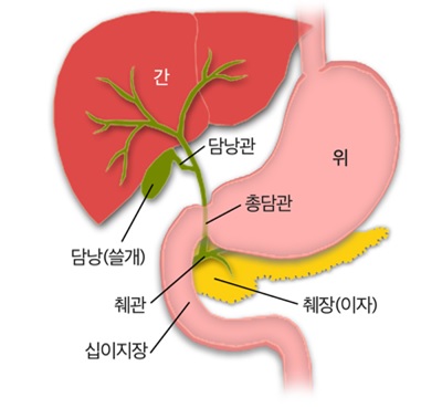 연합외과의원 이미지