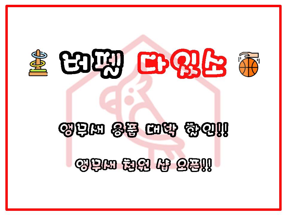 다잇소 이미지