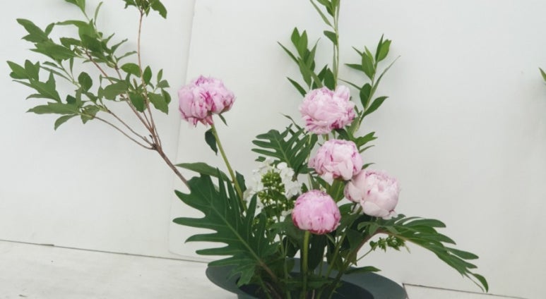 아띠-Lflower 이미지