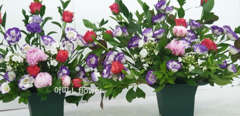 아띠-Lflower 이미지