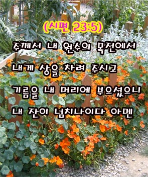 동해상회 이미지
