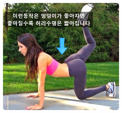 덩키 이미지
