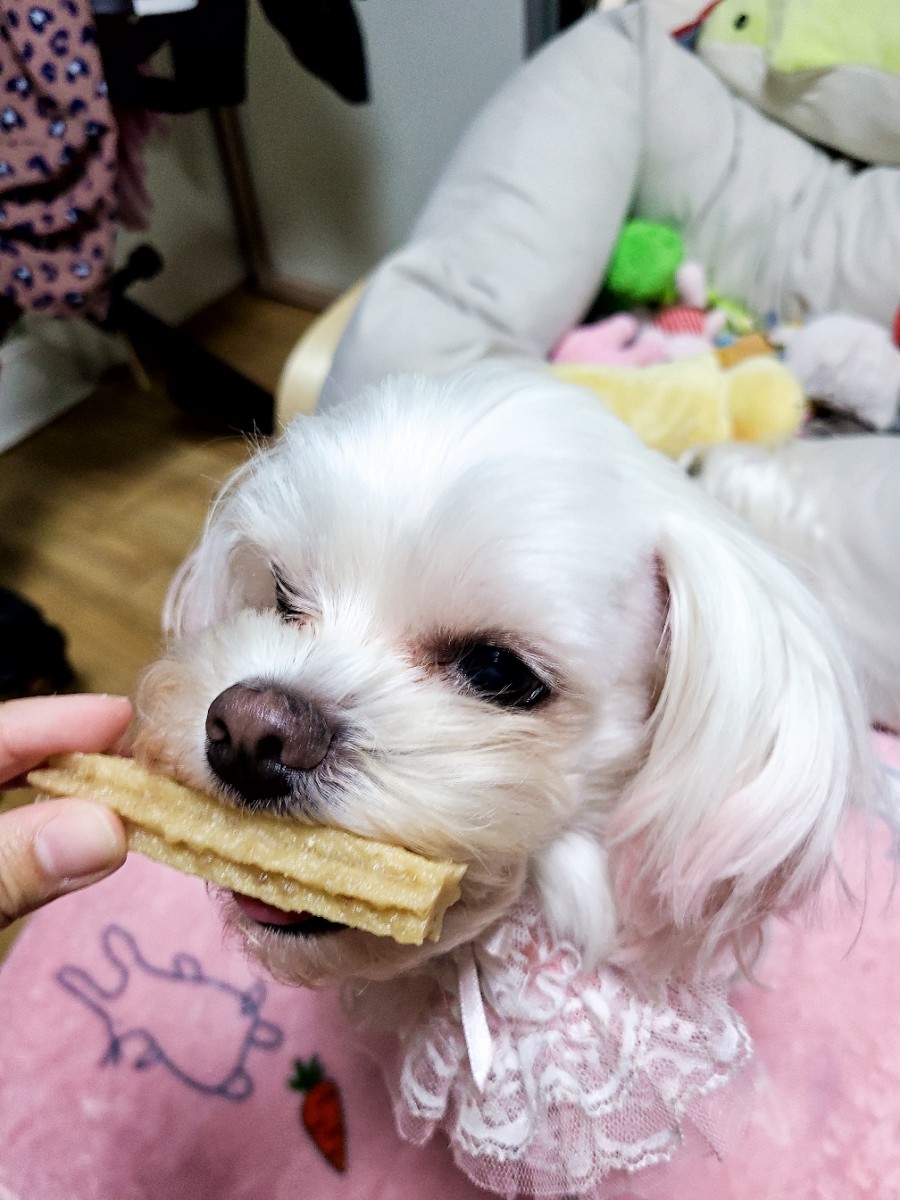 에이치디식품 이미지