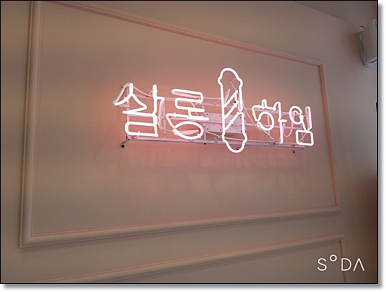살롱하임 보정점 이미지