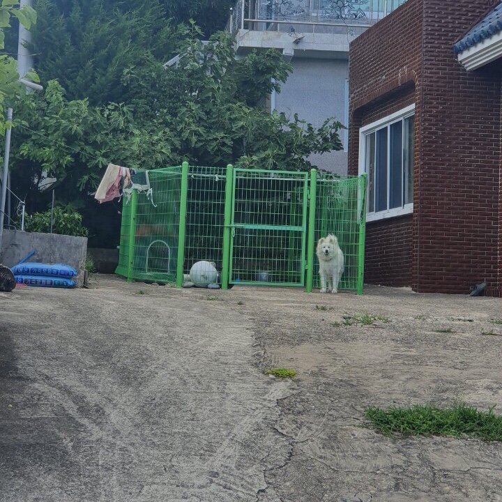푸른등대펜션 이미지