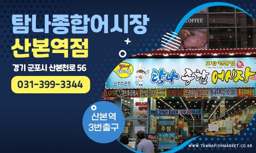 종합카 이미지