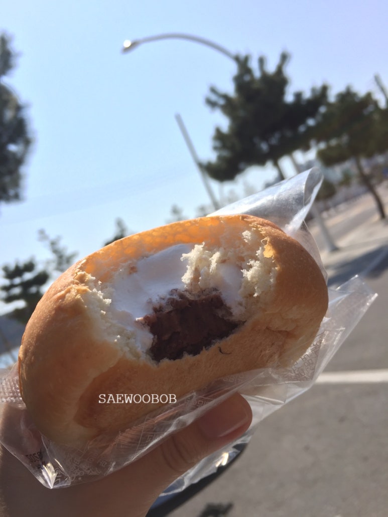 민들레다방 이미지