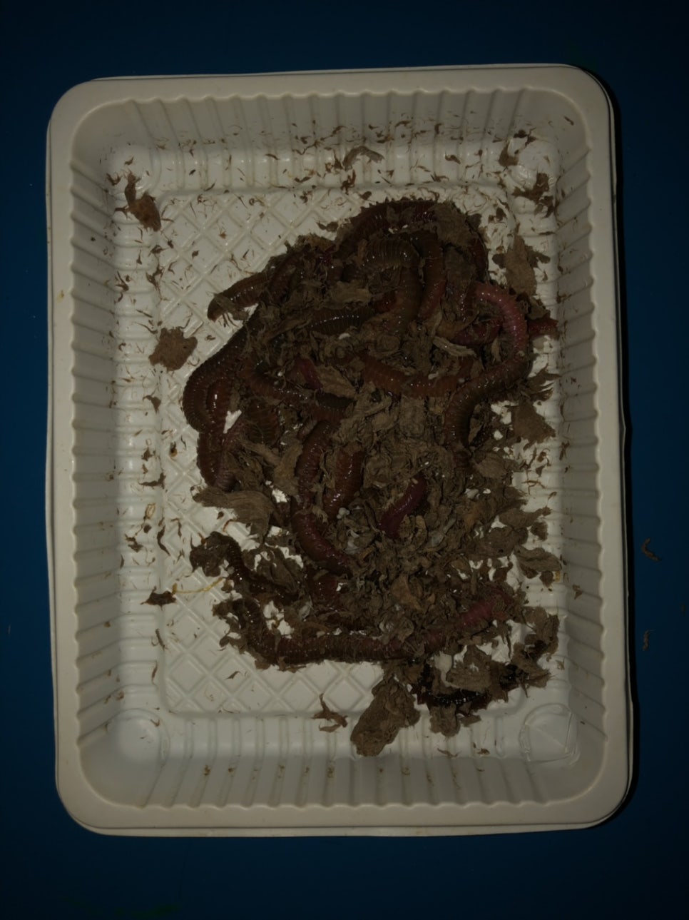뚜루실내바다낚시터 이미지