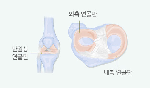 메디포스운동재활센터 이미지