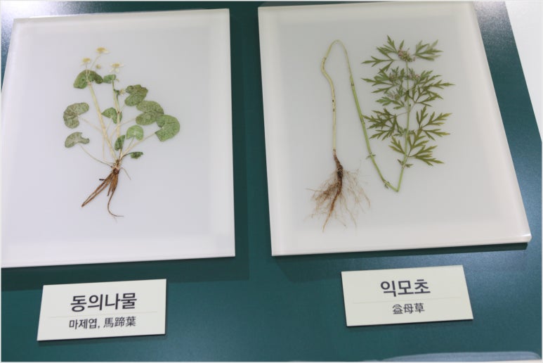 바로봄한의원 이미지