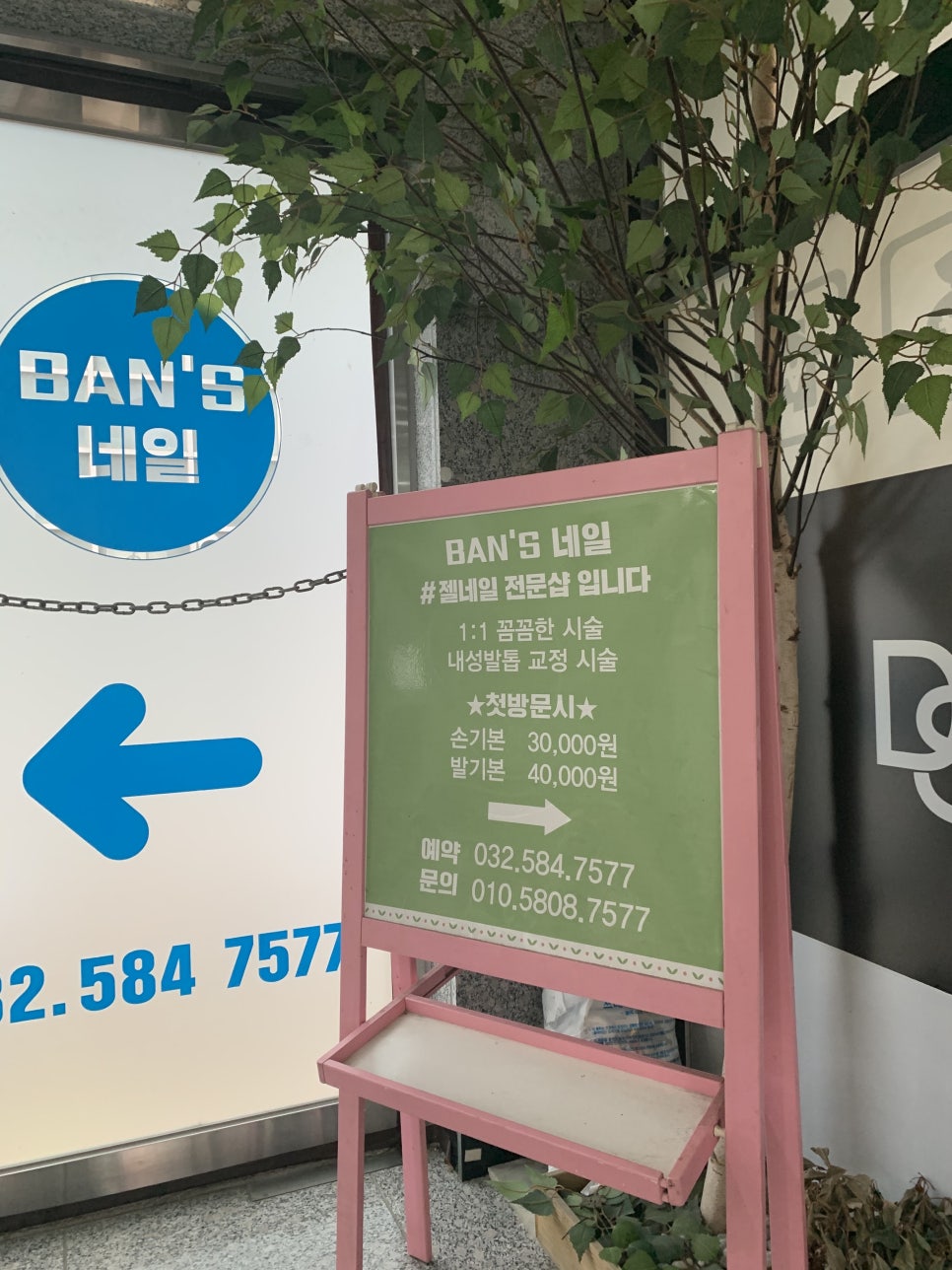 반스네일 이미지