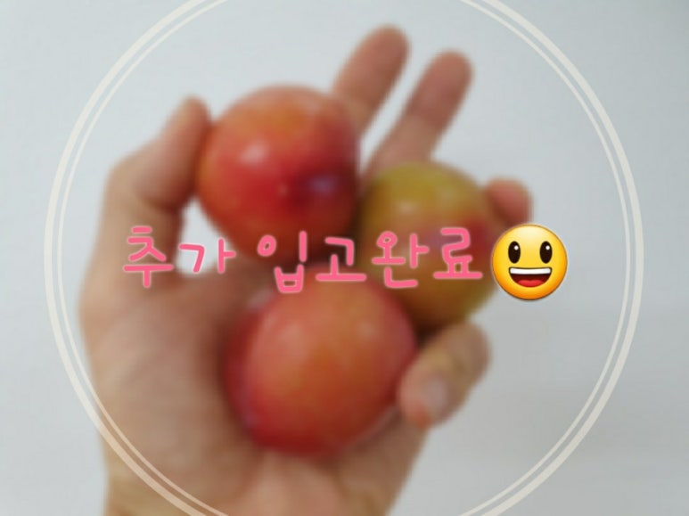 푸릇상회 이미지
