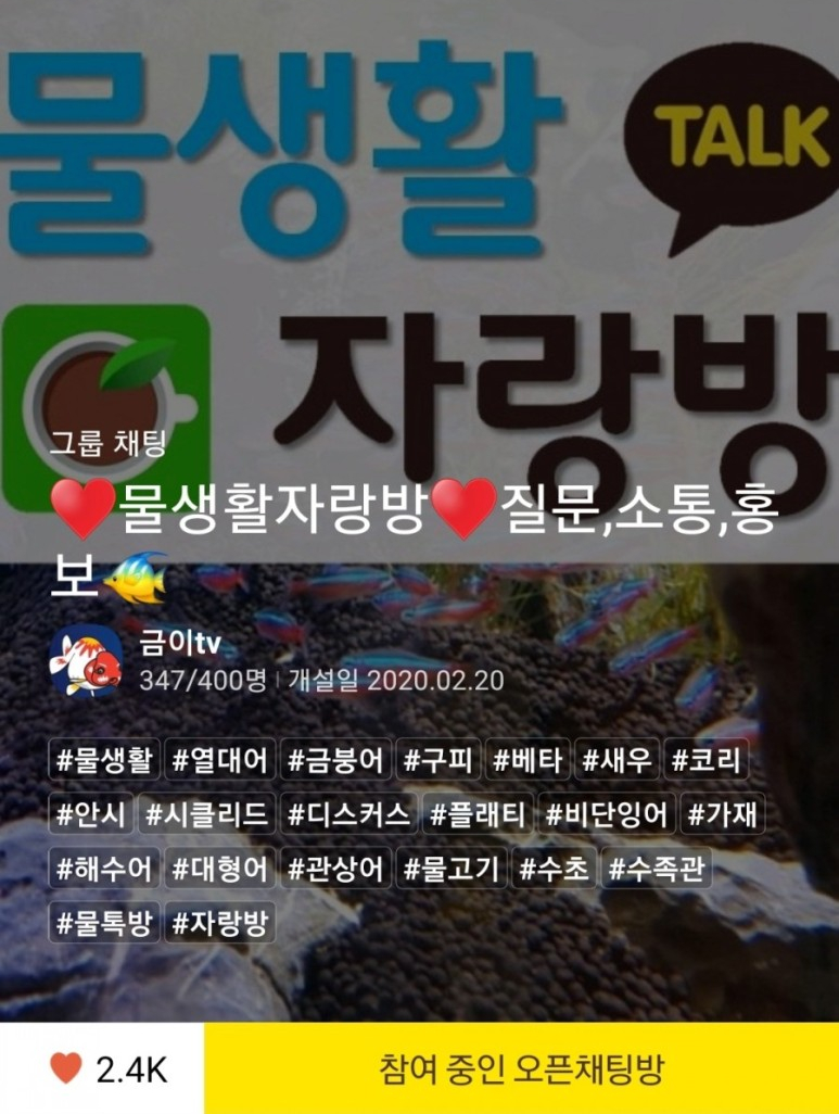 아쿠아pure 이미지