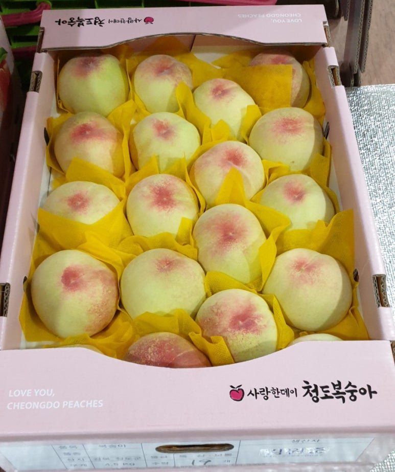 과수원청과 이미지
