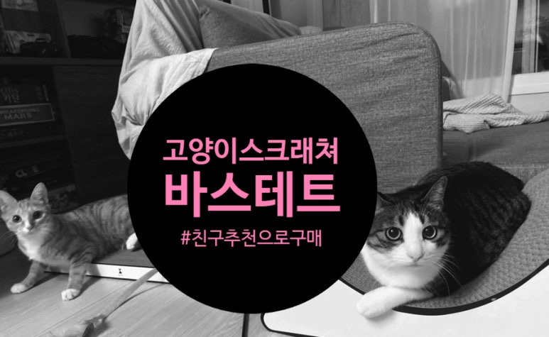 바스테트(Bastet) 이미지