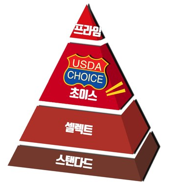 미트홀 이미지