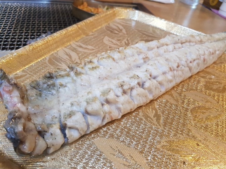 더힘찬장어 이미지
