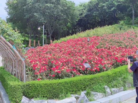 현풍화로구이 이미지