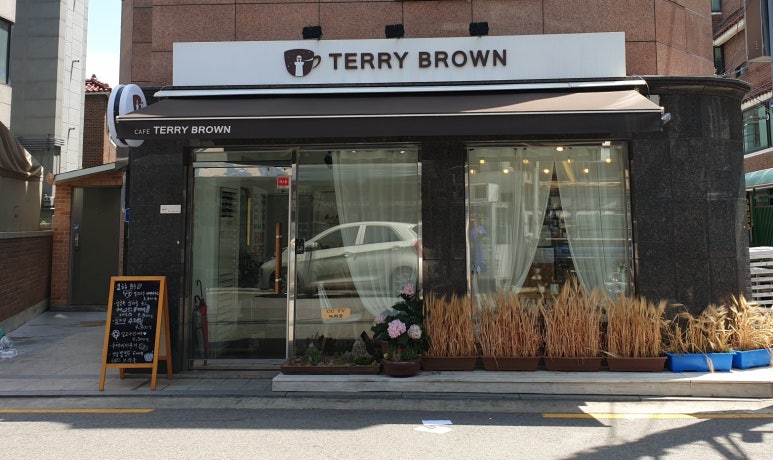 테리브라운 이미지