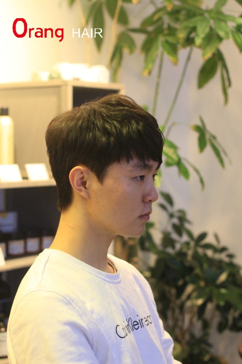헤어스칼렛 이미지