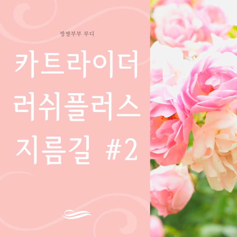 두리와플러스 이미지