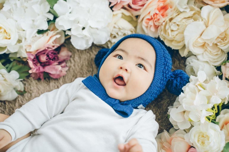 스튜디오배 이미지