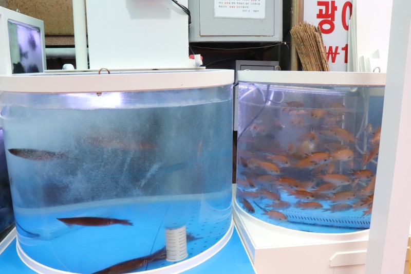 노량해전노량진횟집 이미지