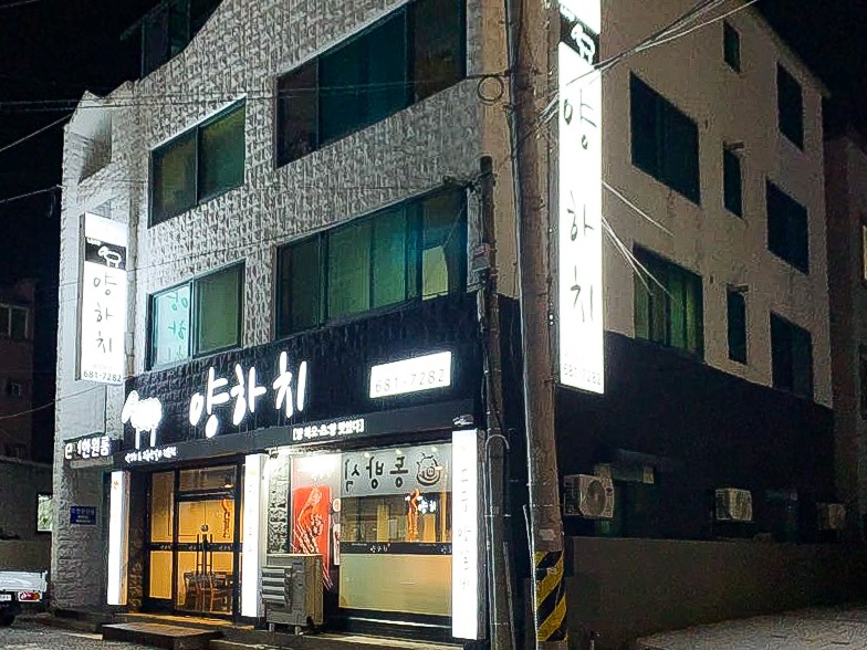 양하치 이미지