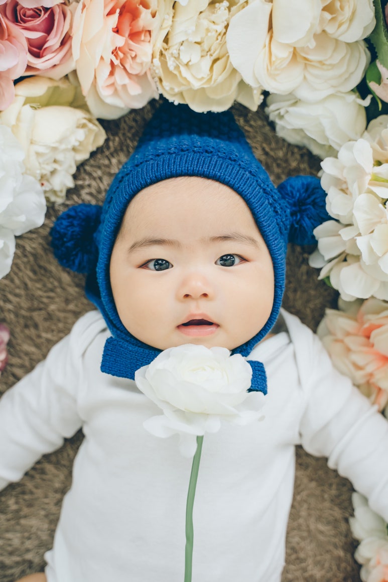 스튜디오배 이미지