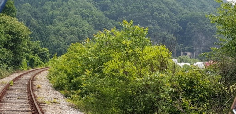 둥지바이크 이미지