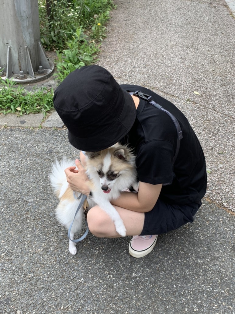 대신양은 이미지